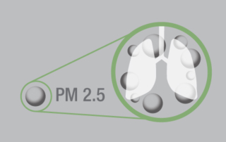 particulate matter