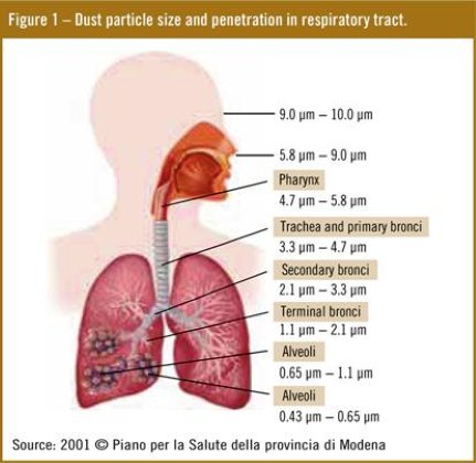 particulate matter body travel