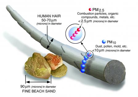 particulate matter size